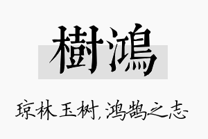 树鸿名字的寓意及含义