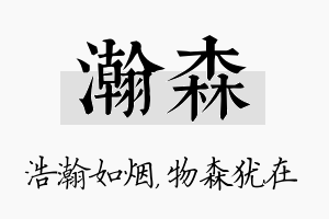 瀚森名字的寓意及含义