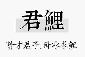 君鲤名字的寓意及含义