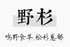 野杉名字的寓意及含义