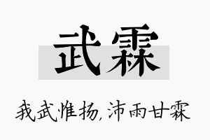 武霖名字的寓意及含义