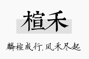 楦禾名字的寓意及含义