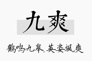 九爽名字的寓意及含义