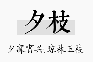 夕枝名字的寓意及含义