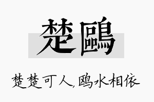 楚鸥名字的寓意及含义