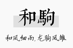 和驹名字的寓意及含义