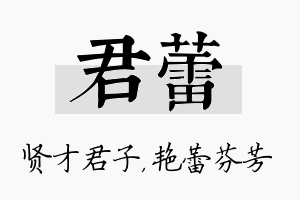 君蕾名字的寓意及含义