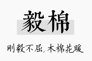 毅棉名字的寓意及含义