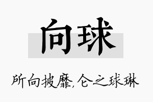 向球名字的寓意及含义