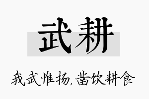 武耕名字的寓意及含义