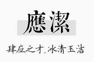 应洁名字的寓意及含义