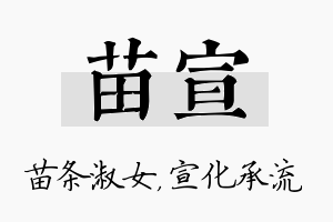 苗宣名字的寓意及含义