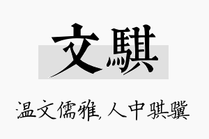 文骐名字的寓意及含义