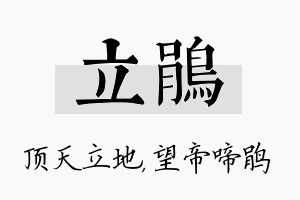 立鹃名字的寓意及含义