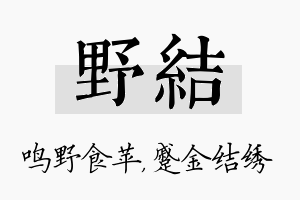 野结名字的寓意及含义