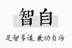 智自名字的寓意及含义