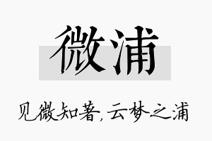 微浦名字的寓意及含义