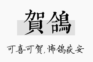 贺鸽名字的寓意及含义