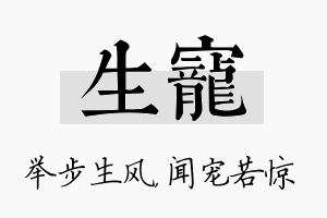 生宠名字的寓意及含义