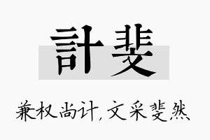 计斐名字的寓意及含义