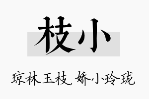 枝小名字的寓意及含义