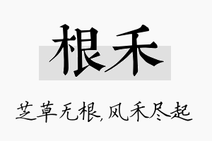 根禾名字的寓意及含义