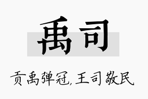 禹司名字的寓意及含义