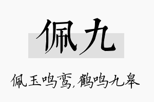 佩九名字的寓意及含义