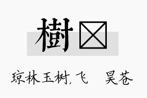 树翀名字的寓意及含义