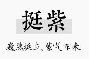 挺紫名字的寓意及含义