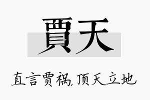 贾天名字的寓意及含义