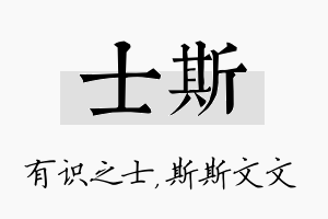 士斯名字的寓意及含义