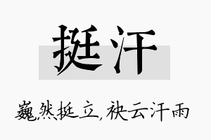 挺汗名字的寓意及含义