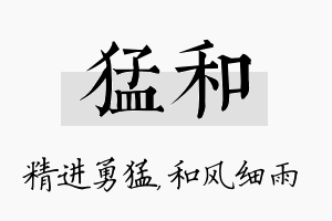 猛和名字的寓意及含义