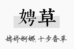 娉草名字的寓意及含义