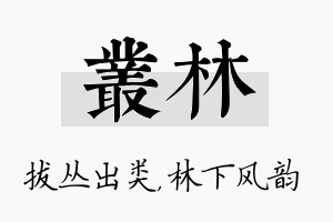 丛林名字的寓意及含义