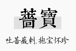 蔷宝名字的寓意及含义