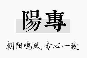 阳专名字的寓意及含义