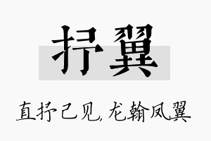 抒翼名字的寓意及含义