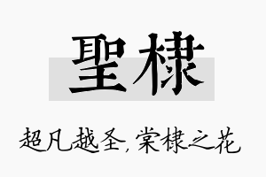 圣棣名字的寓意及含义