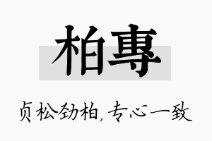 柏专名字的寓意及含义