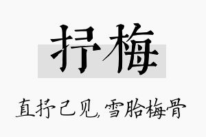 抒梅名字的寓意及含义