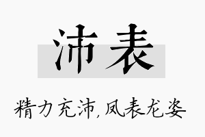 沛表名字的寓意及含义