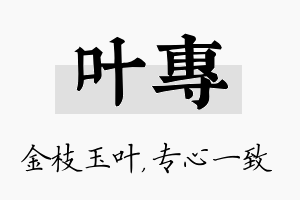 叶专名字的寓意及含义