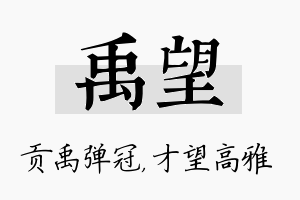 禹望名字的寓意及含义