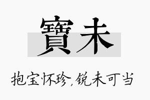 宝未名字的寓意及含义