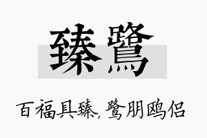 臻鹭名字的寓意及含义