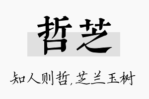 哲芝名字的寓意及含义