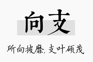 向支名字的寓意及含义