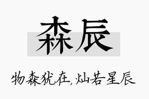 森辰名字的寓意及含义